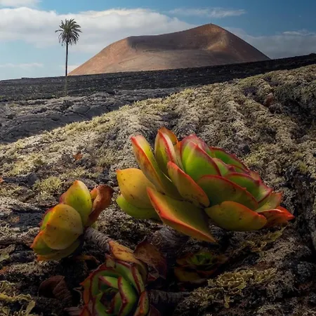 빌라 Lanzarote Casa Volcanica-anclada Sobre La Lava Del Volcan Montana Blanca
